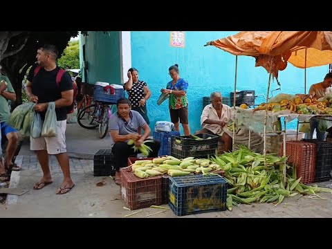 FEIRA LIVRE EM CARNAUBAL CEARÁ DIA 08/05/26
