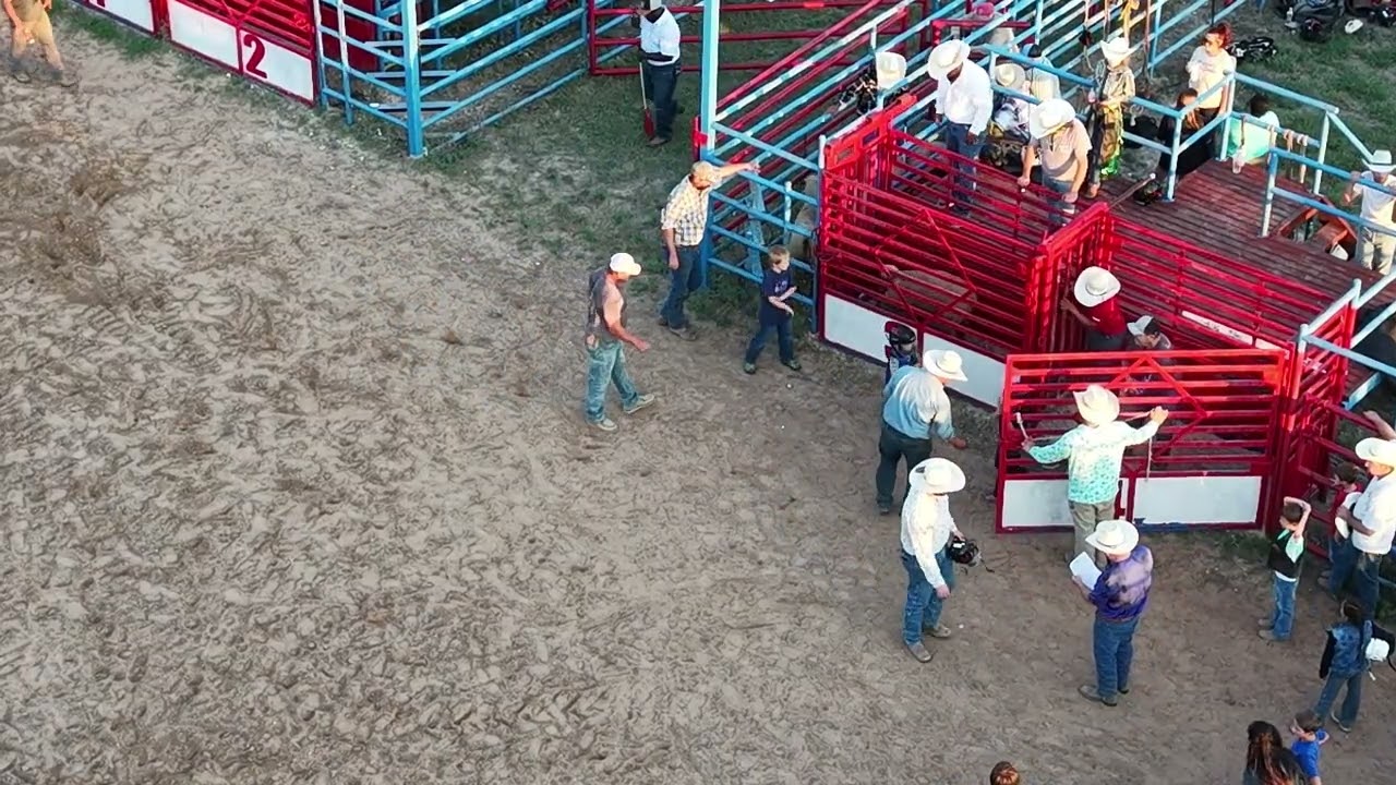 Mutton Busting 4