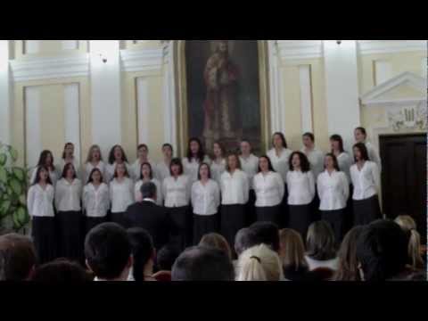 Hor Gimnazije u G. Milanovcu