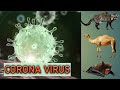 Coronavirus SARS MERS COVID 19 E