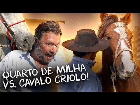 QUARTO DE MILHA OU CAVALO CRIOULO, QUAL O MELHOR? | RICHARD RASMUSSEN