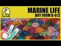 MARINE LIFE - Boy From B-612 [Official] 
