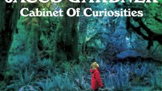 Jacco Gardner - Cabinet Of Curiosities