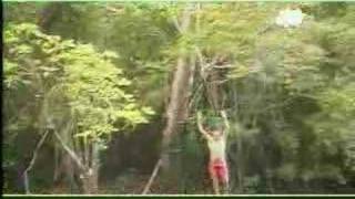 Amazon Rainforest Relaxation Video