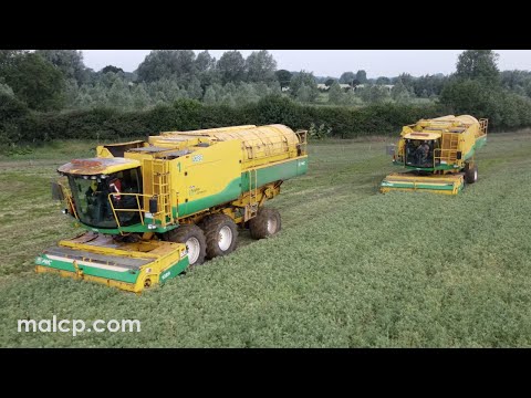 Harvest 2022: Anglian Pea Growers vining peas in Easton, Suffolk. Ploeger PMC GP 1189 1089 harvester
