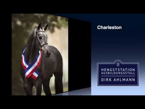 Dirk Ahlmann - Charleston (Unter dem Sattel) - Hengstpräsentation 2017