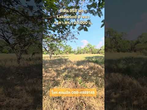 ขายที่ดิน Lakewood บางนา 958 ตร.ว เหมาะสร้างบ้าน ใกล้ Maga Bangna – รูปที่ 2