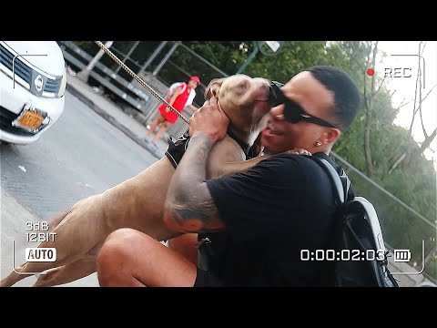 MAJIN BUU (Drew Afualo Diss) x brandonjamal (unofficial video) 