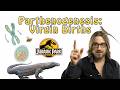 Parthenogenesis Virgin Births
