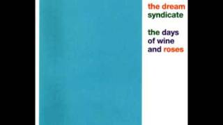 Dream Syndicate - The Days of Wine and Roses / Tell Me When It's Over