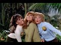 The Honeybees You Need Us Gilligan S Island 720p