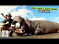 Dangerous Hunt For Croc Hippo And Black Mamba