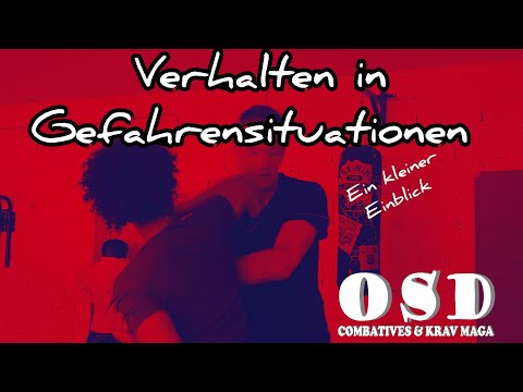 Verhalten in Gefahrensituationen - ein kurzer Einblick [Combatives]