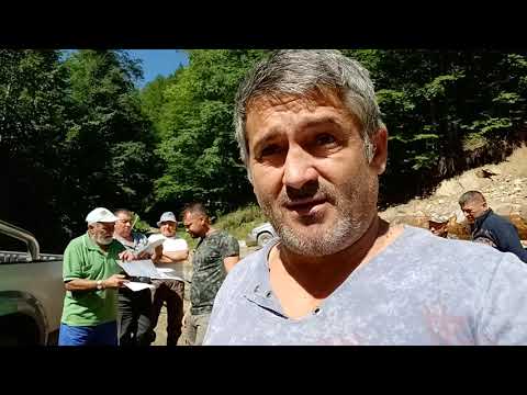 Neregulile  din Obștea Moşnenilor Robeşti - iulie 2022