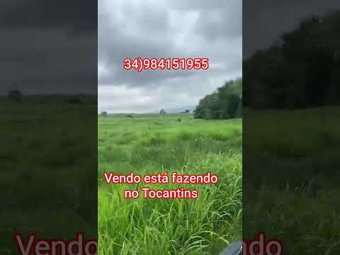 Fazenda em São Geraldo do Araguaia.pa 2.100 alqueire1.160 de abertura