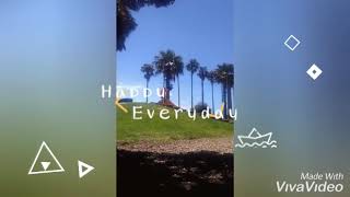 Little Joy in a bundle