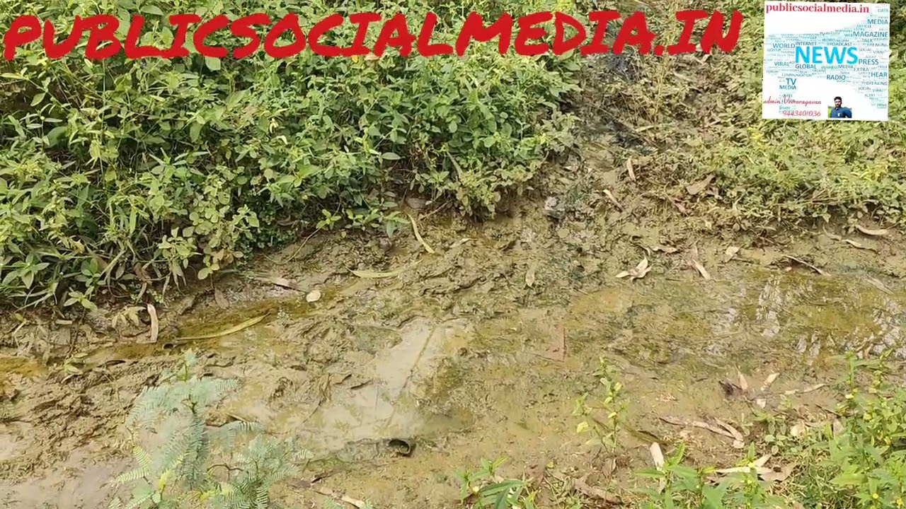 இச்சடியில் இப்படி ஒரு பேக்கரியா? மனிதக் கழிவுகள் பேக்கரியை சுற்றி வெளிப்படையாக வெளியேறுகிறது! துர்நாற்றம் சுற்றுவட்டமும் வீசுகிறது! உணவு பாதுகாப்பு துறை எப்படி அனுமதி கொடுத்தது?