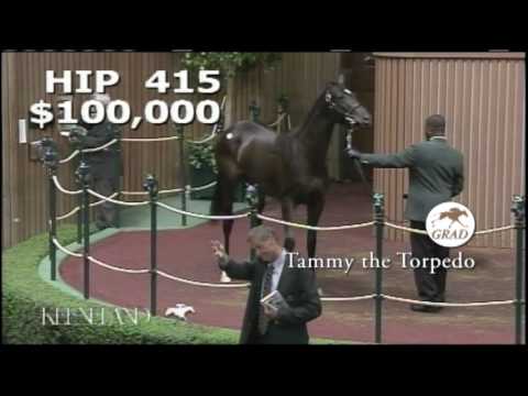 Tammy the Torpedo as a Keeneland September Yearling