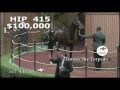 Tammy The Torpedo As A Keeneland September Yearling