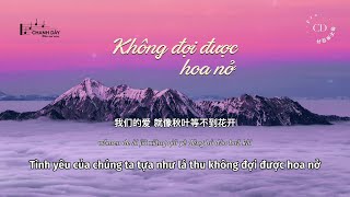 [Vietsub] Không đợi được hoa nở (等不来花开) - pro - Bản DJ (DJ版) - Hot Douyin