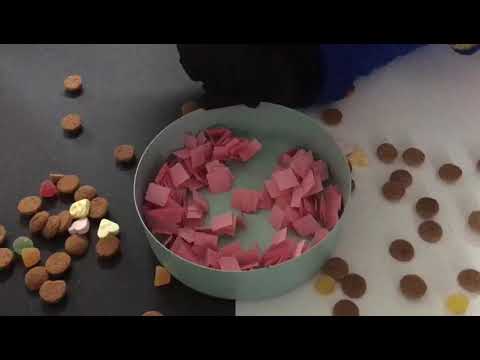 Winnaar1 Sinterklaas Arnemuiden