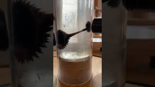 Magnetism