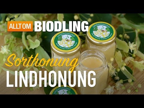 Lindhonung - Sorthonung - Honung