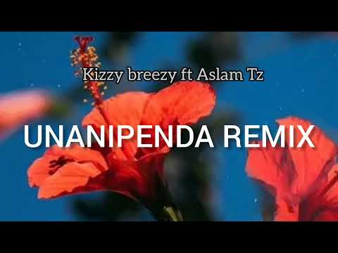 Kizzy breezy-ft -Aslam Tz  _Unanipenda remix