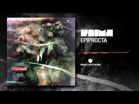 Voima - Epiprocta (out now on Deep Field Audio)