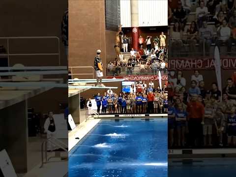 Man Causes Chaos on Olympic Diving Board 🤪