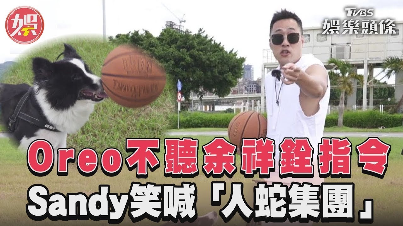 影音/《萌寵》愛犬不聽指令 Sandy笑喊余祥銓根本人蛇集團