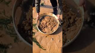 Digging for food with simple tool#shorts