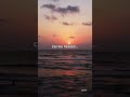 What S Broken Can Be