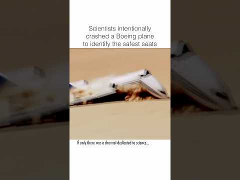 Scientists Reveal How to Survive a Plane Crash