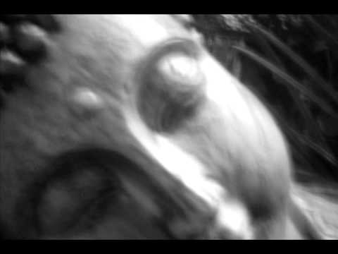 Larsen - Budhistický časy (Demo)