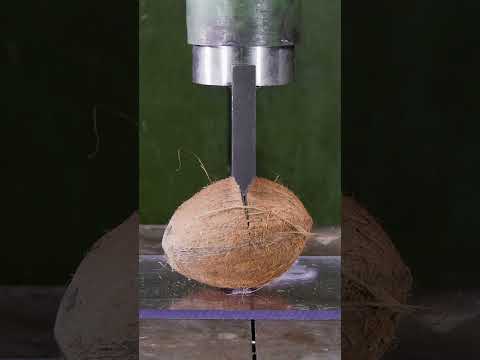 Hydraulic Guillotine vs. Bowling Ball: Epic Showdown! 🎳💥 #hydraulicpress #guillotine #satisfying
