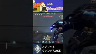 [Valorant] Vandal 5K #short