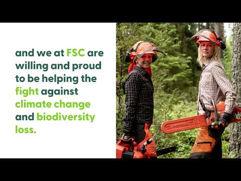 FSC Verified Impact: Holistic forest value through ecosystem services