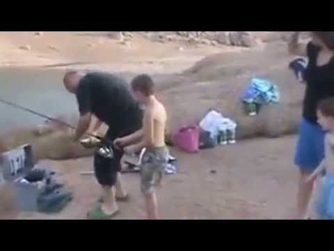 pulling a shark out of a lake