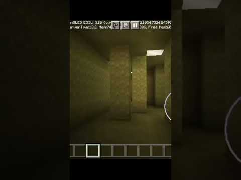 Minecraft Backrooms scary place