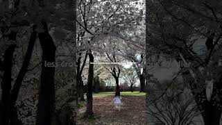 Cherry Blossoms with my toddler and baby 🌸