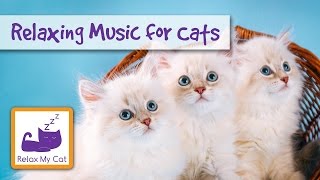 Cat Music - Relaxing Music for Stressed Pets and Cats 🐱 #STRESS05