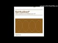 Spiritualized - Cool Waves (Filtered Instrumental)