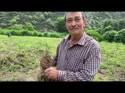 Don Felipe ya no le interesa regresar a USA 🇺🇸