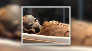 La Momie Extra-Terrestre d'Al Lahoun, découverte en 2012