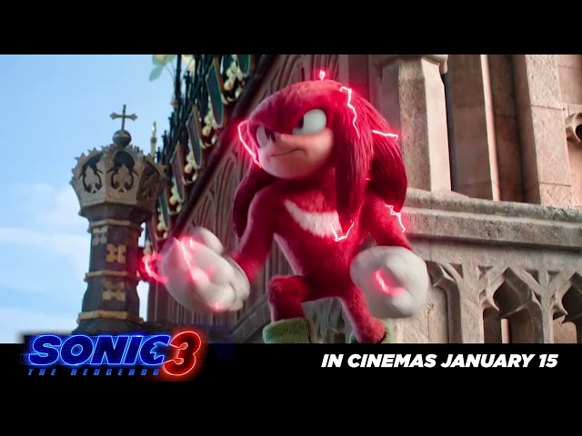 Team Sonic vs. Team Shadow