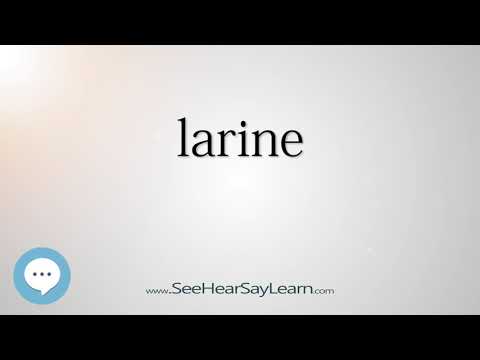 larine - Smart & Obscure English Words Defined 👁️🔊🗣🧠✅