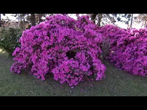 En Santa Ana, Entre Ríos  