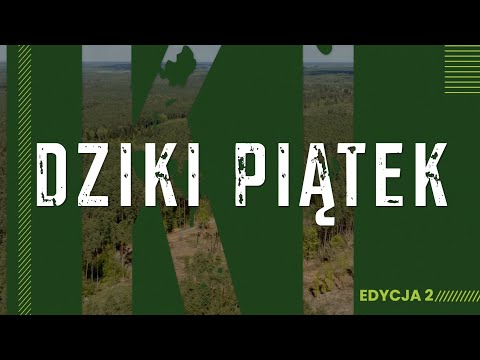 DZIKI PIĄTEK 2023 spotkanie edukacyjne dla dzieci - Koło Łowieckie Odyniec Nieporęt