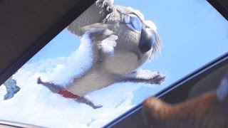 映画『SING／シング』特別版予告編
